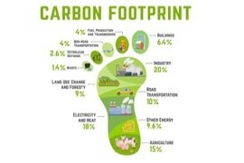 Carbon Footprint Report